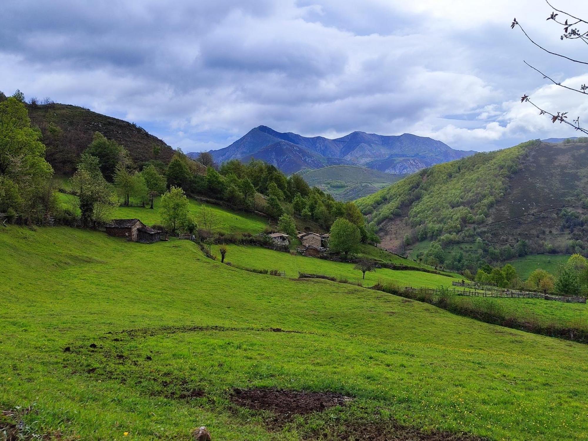 El Corral De Baxo Villa Felechosa Bagian luar foto